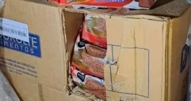 أمن المنافذ يضرب بقوة.. ضبط قضايا تهريب ومخالفات مرورية متنوعة خلال 24 ساعة