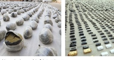 إحباط محاولة ترويج 3 أطنان مخدرات بالسويس بقيمة ربع مليار جنيه