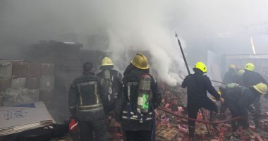 السيطرة على حريق بمعمل تفريخ البيض بقرية ميت العطار ببنها