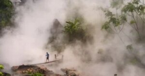 درجات حرارة المياه في بحيرات الأمازون ترتفع وتهدد بمقتل الحياة البرية