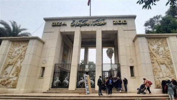 موعد افتتاح حديقة الحيوان بعد التجديد