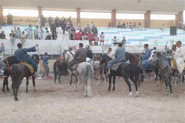 محافظ قنا يفتتح عروض المرماح والتحطيب ضمن فعاليات مهرجان قنا للحرف والتراث