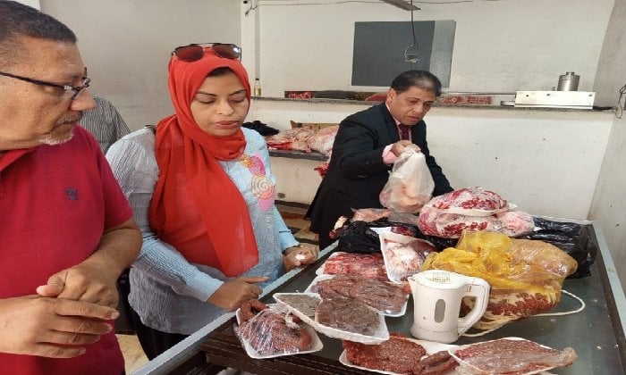 بيطري الأقصر يضبط لحوم غير صالحة للاستهلاك الآدمي