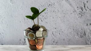 هل يجوز إخراج زكاة المال قبل وقتها؟.. الإفتاء تجيب