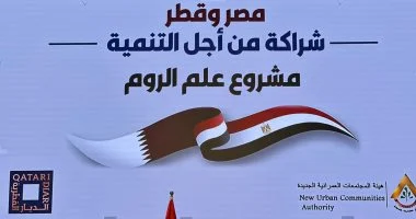 من الشراكة إلى التنمية.. أبعاد الاتفاق المصرى - القطرى فى علم الروم