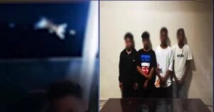 القبض على 4 طلاب بتهمة إلقاء قطة فى نهر النيل بالجيزة.. فيديو القبض على 4 طلاب بتهمة إلقاء قطة فى نهر النيل بالجيزة.. فيديو