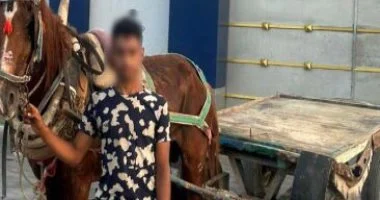 ضبط قائد عربة كارو صدم سيدة بشمال سيناء ولاذ بالفرار