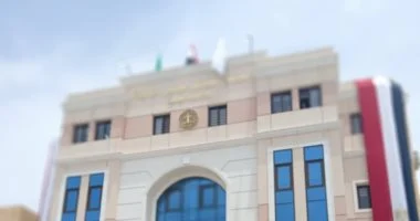 القضاء الإدارى ينظر غدا دعوى غلق المواقع والتطبيقات الإلكترونية المخلة والمشبوهة