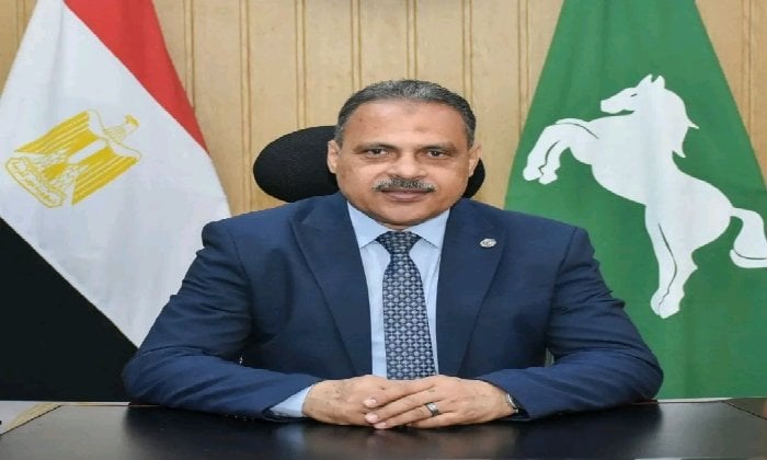 تجهيز 975 مقرًّا و1040 لجنة فرعية لانتخابات مجلس النواب بالشرقية