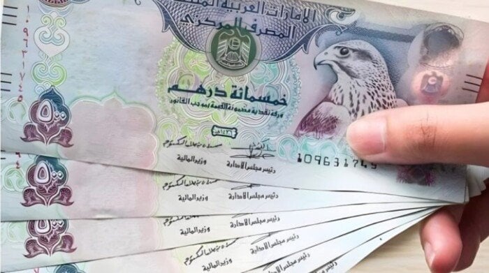 سعر الدرهم الإماراتي مقابل الجنيه اليوم الجمعة 14 نوفمبر 2025