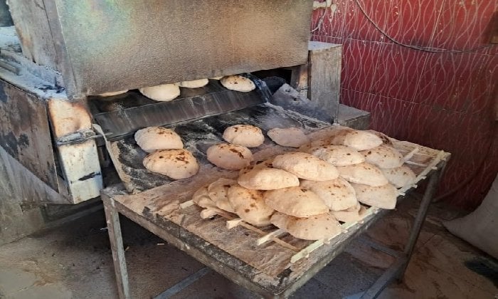 تموين السويس: تحرير 65 محضرًا وضبط لحوم غير صالحة خلال حملات موسعة على الأسواق