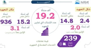 جهاز الإحصاء: 19.2 ألف منشأة تمارس التعهيد في مصر بقيمة تعاملات 239 مليار جنيه
