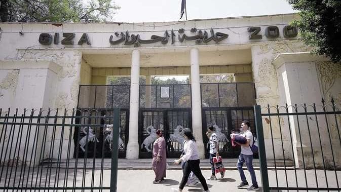 العد التنازلي بدأ.. متى تفتح حديقة الحيوان في الجيزة أبوابها أمام الجمهور؟