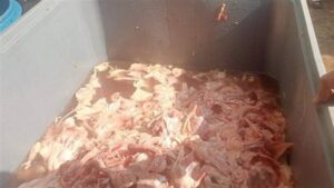 ضبط لحوم ودواجن غير صالحة للاستهلاك الآدمي خلال حملة مكبرة بشبرا الخيمة