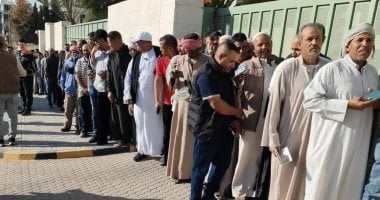 إقبال لافت وتنظيم محكم.. سفراء مصر بالخارج يشيدون بسلاسة تصويت انتخابات النواب