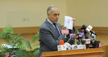 سفراء مصر فى أوروبا وإفريقيا: انتظام أول أيام انتخابات مجلس النواب بالخارج