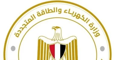 ليه تستنى محصل الكهرباء لما ممكن تدفع من موبايلك وانت فى بيتك.. اعرف الخطوات