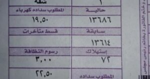 استعلم عن فاتورة الكهرباء إليكترونيا بهذه الطريقة