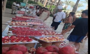 فنادق الغردقة تحتفل باليوم العالمي للرمان وسط إقبال سياحى كبير