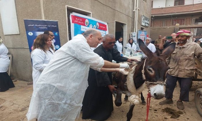 بيطري القليوبية تنظم قافلة علاجية مجانية بقرية منية السباع ببنها