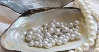 صادرات مصر إلى الإمارات تقفز إلى 4 مليارات دولار أهمها اللؤلؤ والسيارات