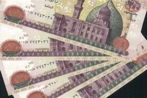 بعد زيادتها لـ 1500 جنيه.. طريقة الاستفادة من منحة العمالة غير المنتظمة 2025