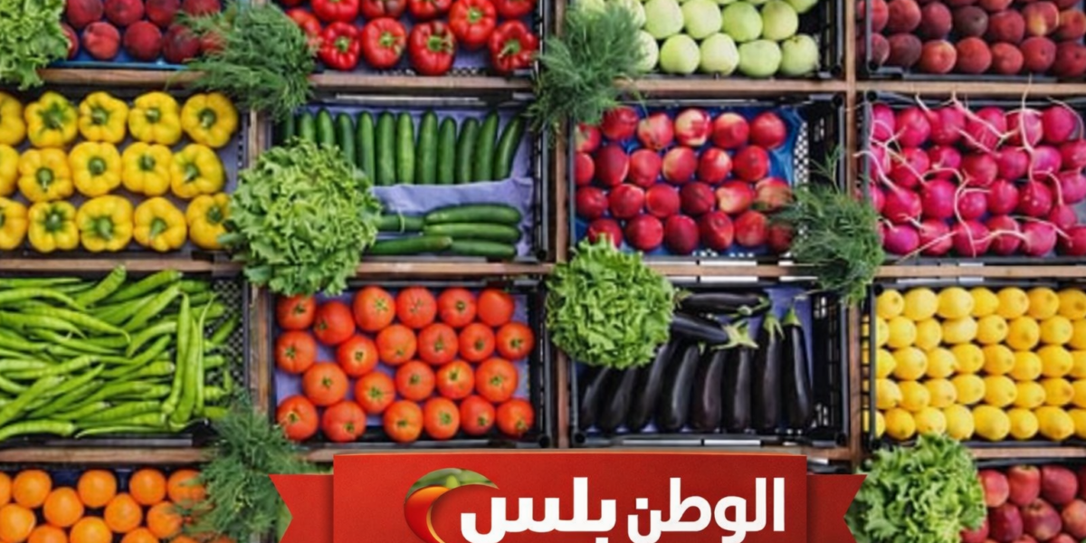 أسعار الخضروات اليوم في سوق العبور الخميس 5 فبراير 2026 ارتفاع بعض الأصناف
