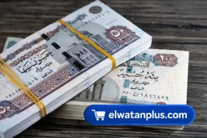 زيادة معاشات مارس 2026 وخطوات الاستعلام إلكترونيًا عبر موقع التأمينات الاجتماعية الرسمي