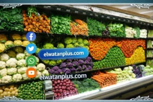 أسعار الخضروات اليوم
