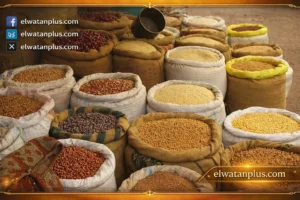 أسعار الأعلاف في مصر