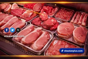 أسعار اللحوم اليوم في مطروح