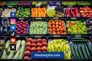 استقرار أسعار الخضراوات والفاكهة في أسواق كفر الشيخ اليوم...