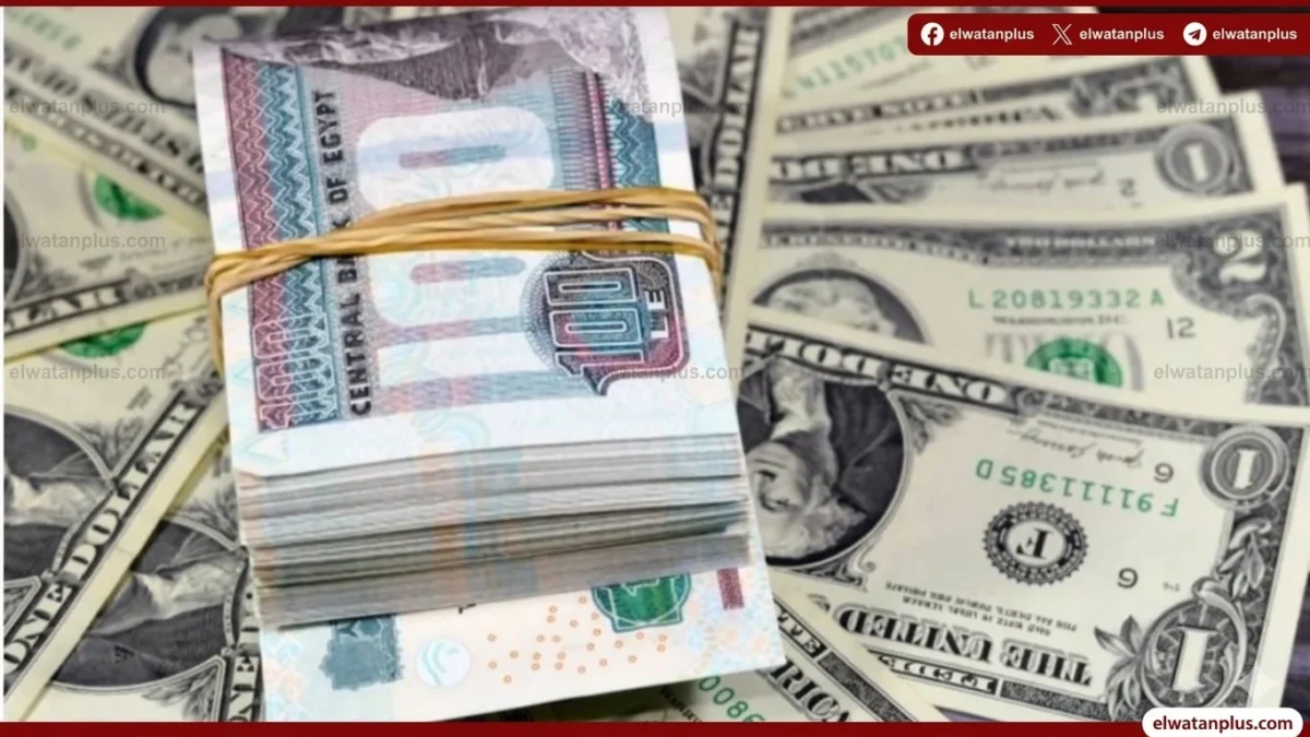 استقرار الدولار أمام الجنيه المصري