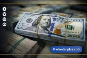 استقرار سعر الدولار