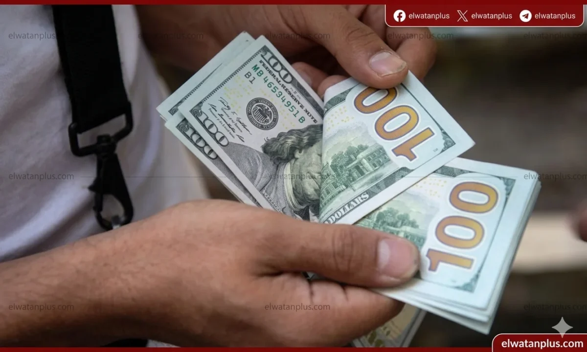 استقرار نسبي لسعر الدولار أمام الجنيه بنهاية تعاملات الثلاثاء