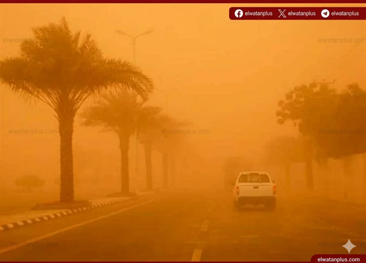 الأرصاد