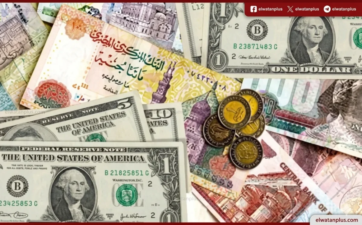 الدولار يواصل الارتفاع أمام الجنيه منتصف تعاملات اليوم بالبنوك المصرية
