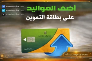 بطاقة التموين الجديدة