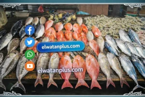 سعر السمك اليوم