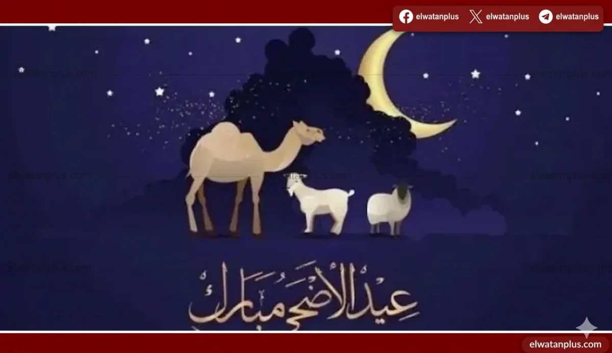 فلكيًا.. 27 مايو 2026 أول أيام عيد الأضحى ووقفة عرفات في 26 مايو