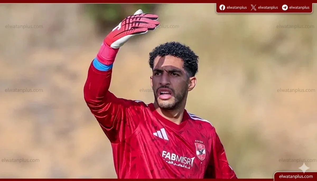 مصطفى شوبير
