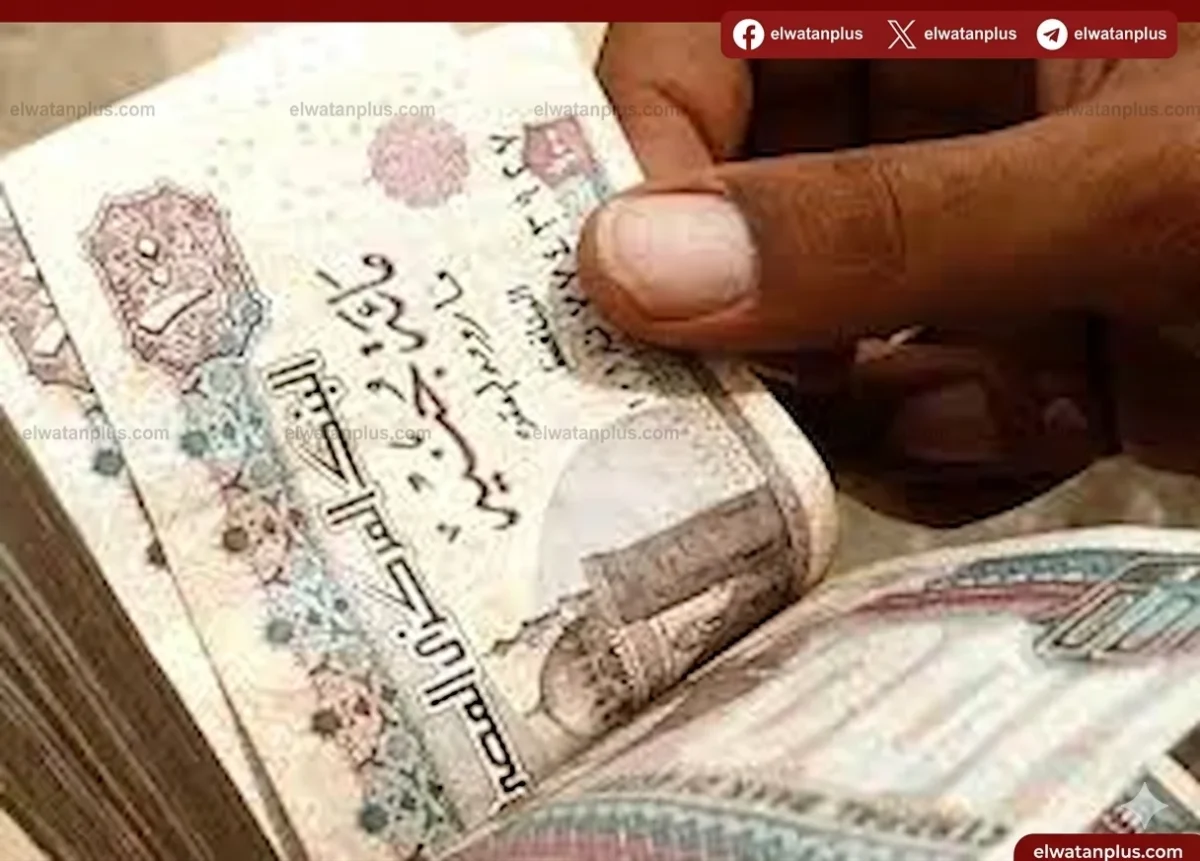 نقابة المعلمين تعلن صرف معاشات أبريل بقيمة 172.6 مليون جنيه بدءًا من 1 أبريل