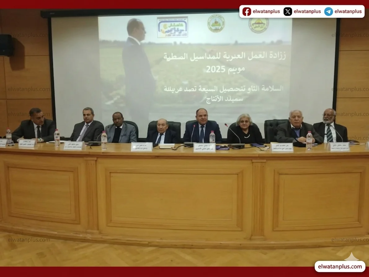 ورشة علمية لتقييم المحاصيل الصيفية 2025 ودعم الاستدامة الزراعية في مصر