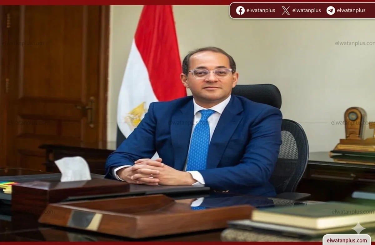 وزير المالية