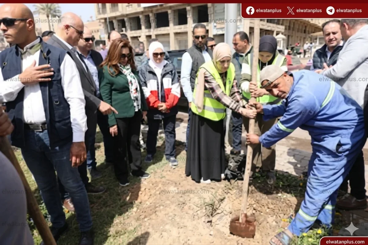 وزيرة التنمية المحلية تتفقد زراعة 9460 شجرة بالإسكندرية ضمن «100 مليون شجرة»