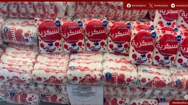 انتاج السكر في مصر 2025