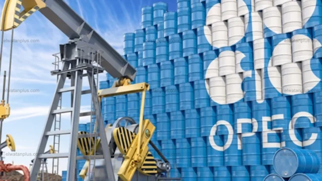 خروج الامارات من اوبك تاثير النفط العالمي