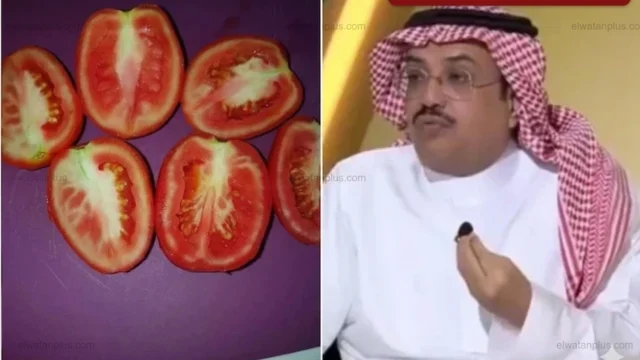 أستاذ واستشاري