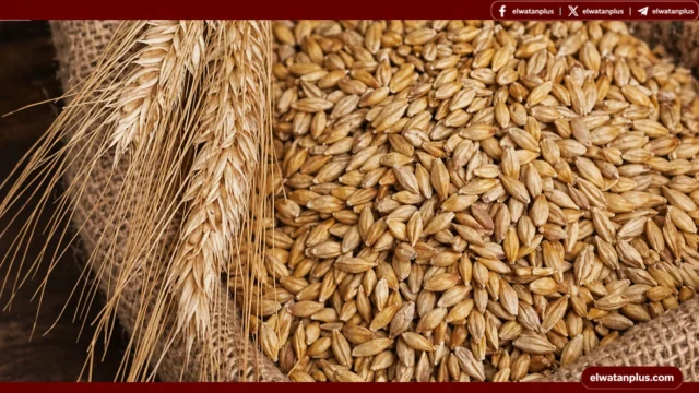 أسعار الأرز الشعير اليوم 27 أبريل 2026