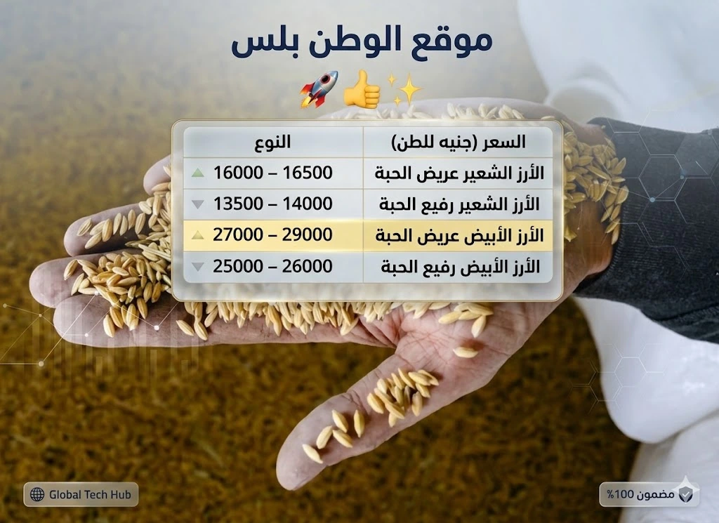 أسعار الأرز الشعير اليوم 27 أبريل 2026 تستقر في الأسواق وسط توازن العرض والطلب